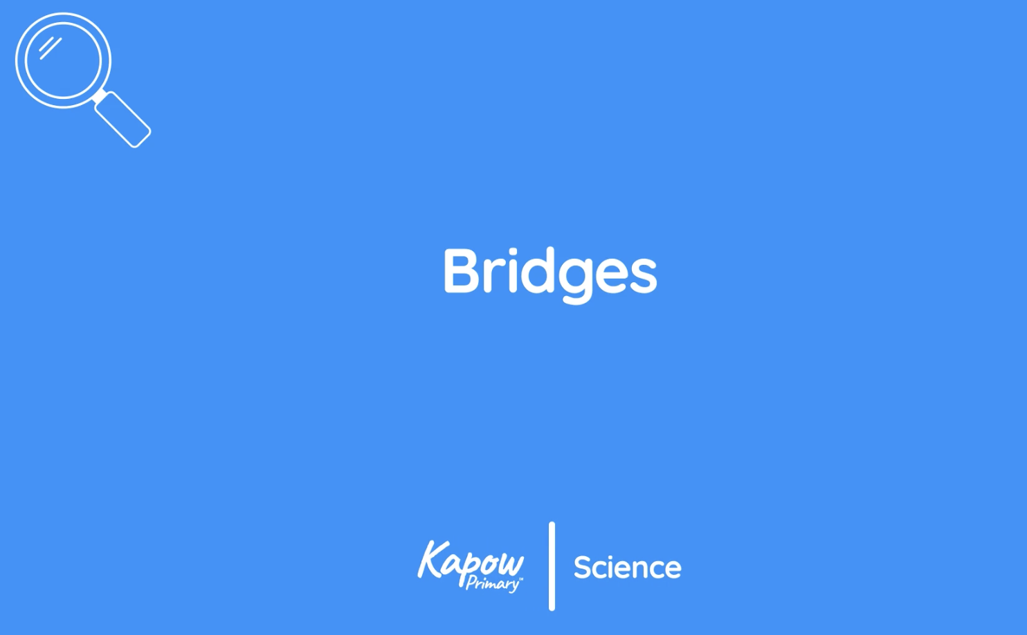 Pupil videos: Bridges
