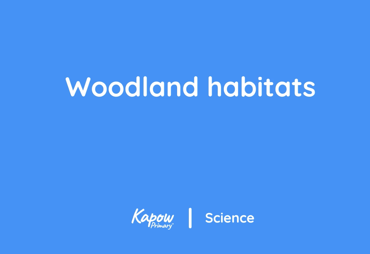 Pupil video: Woodland habitats