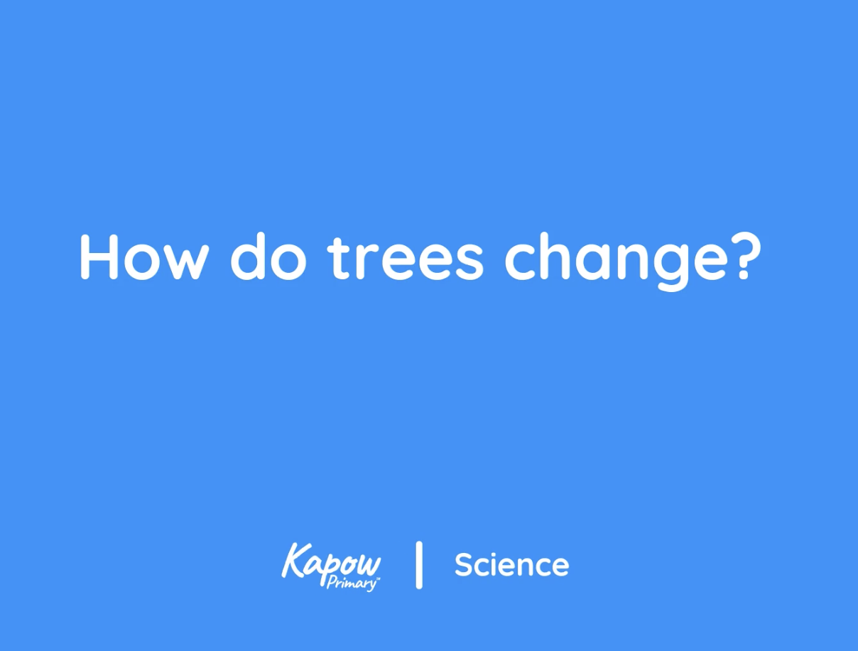 Pupil video: How do trees change
