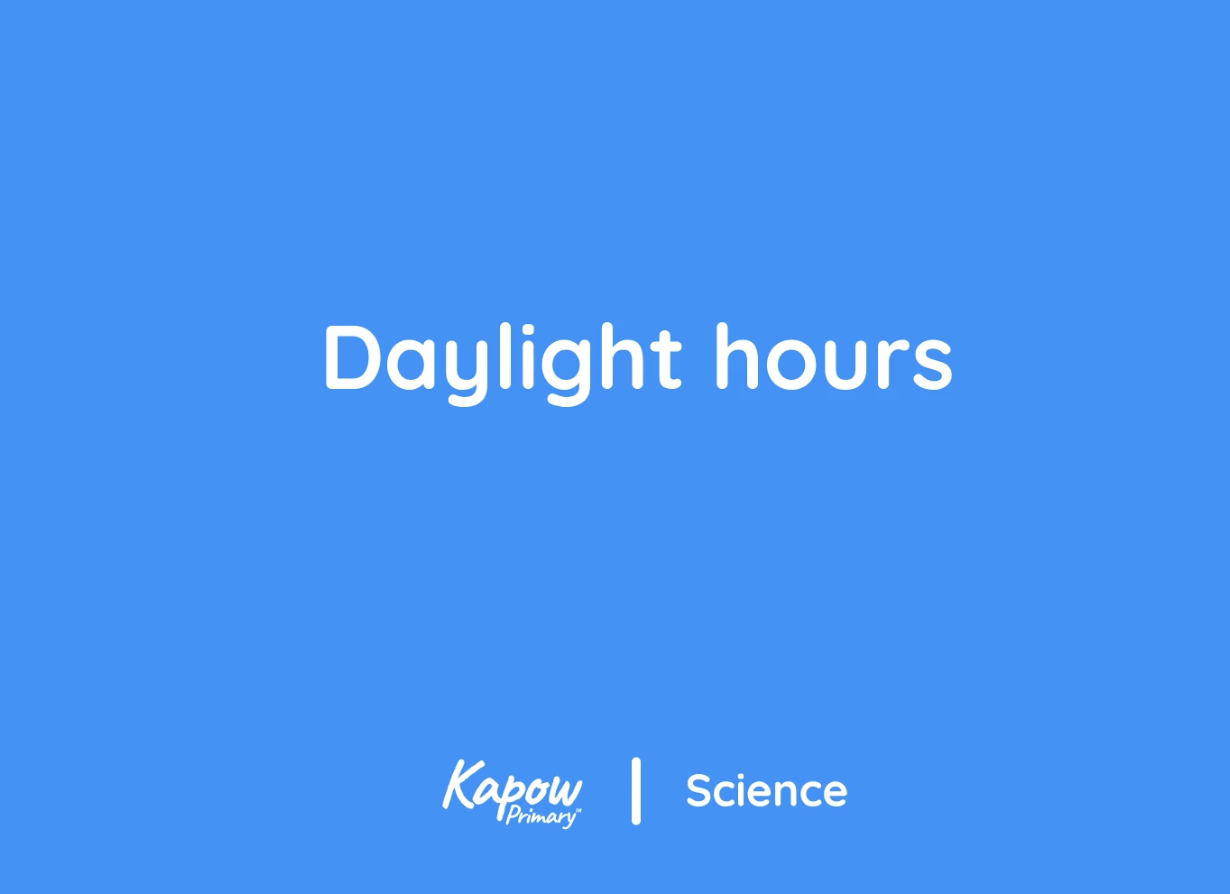 Pupil video: Daylight hours