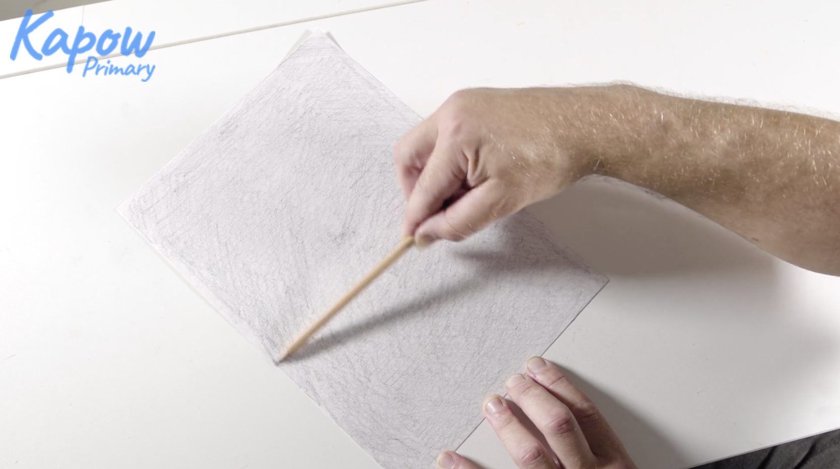 Teacher video: Negative medium still life