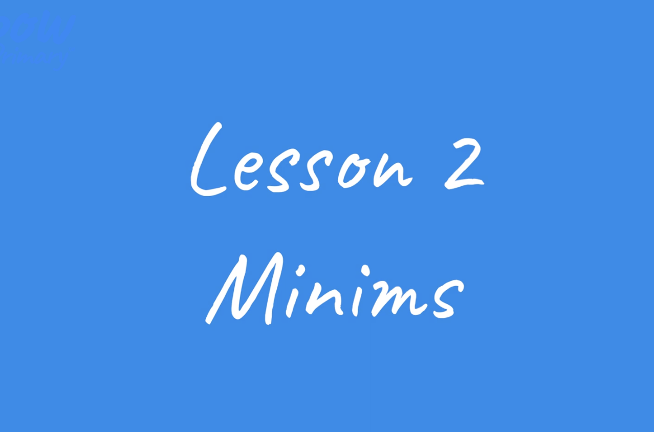Teacher video: South Africa – minims