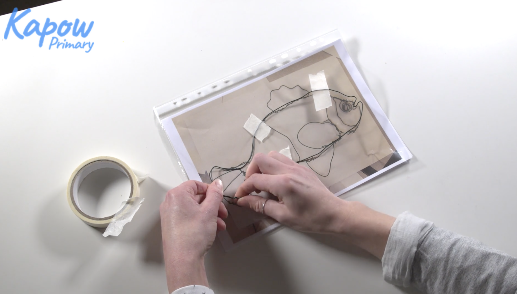 Teacher video: Wire fish