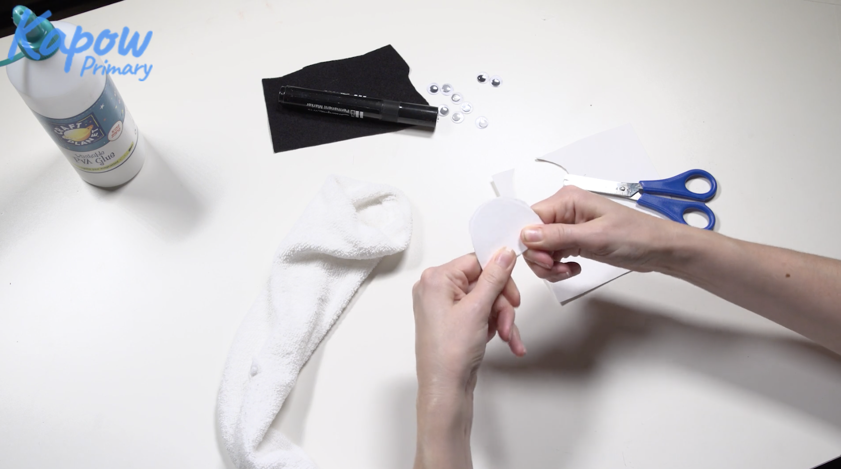 Teacher video: Sock puppets
