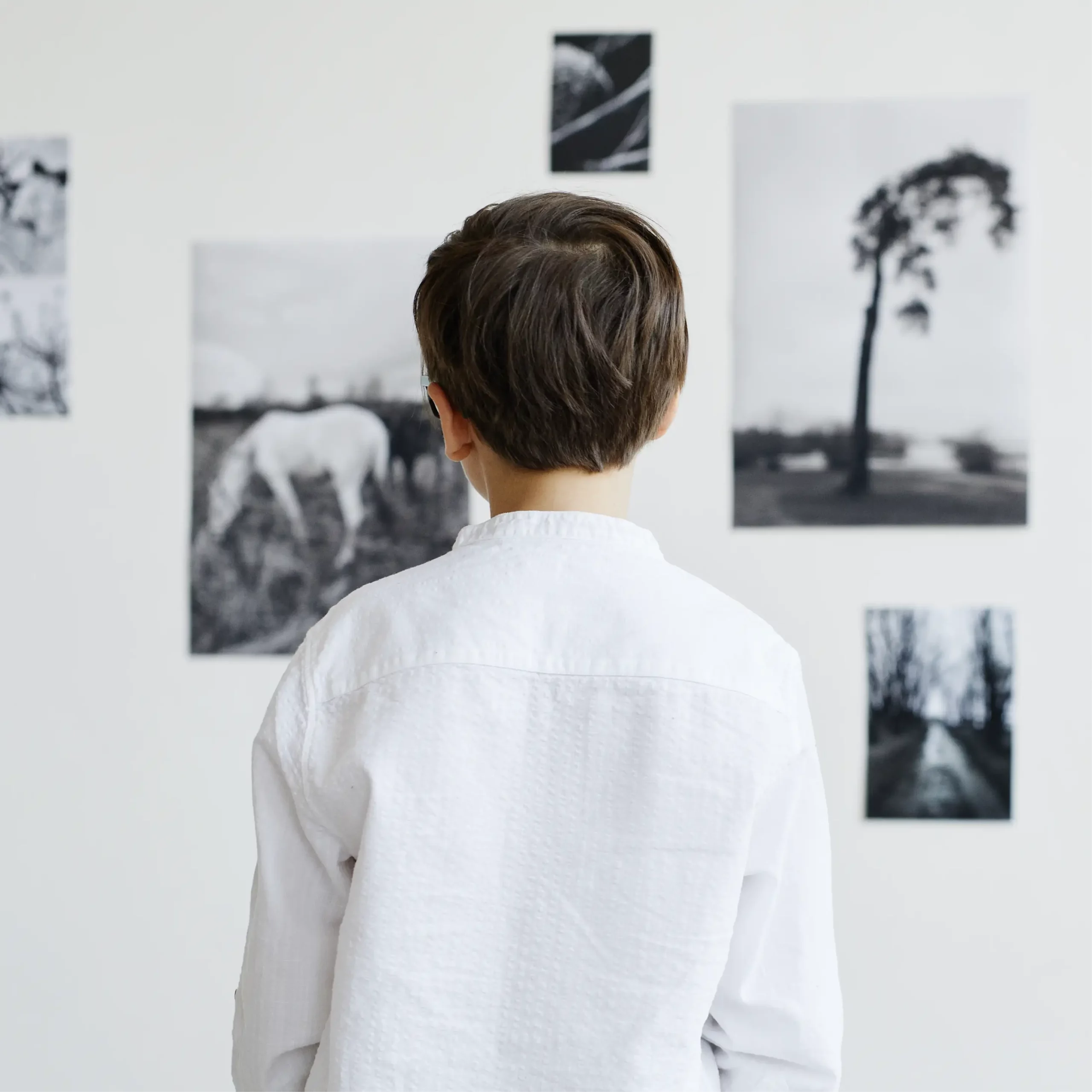 Child wearing a white shirt, seen from behind, observing several black-and-white photographs on a gallery wall, including images of a horse and a tree.