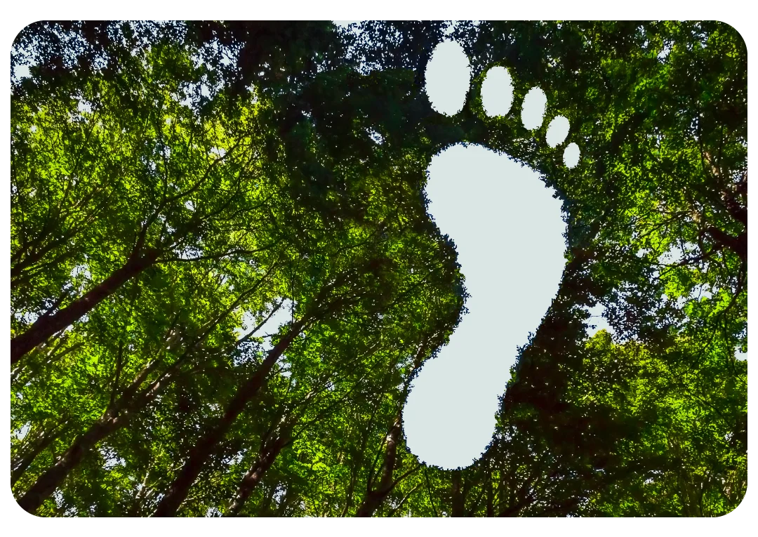 Green forest canopy with a footprint silhouette cut-out symbolising environmental impact and carbon footprint.