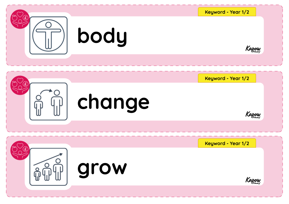 Vocabulary display – RSE & PSHE Y2: How can we look after and respect our bodies?