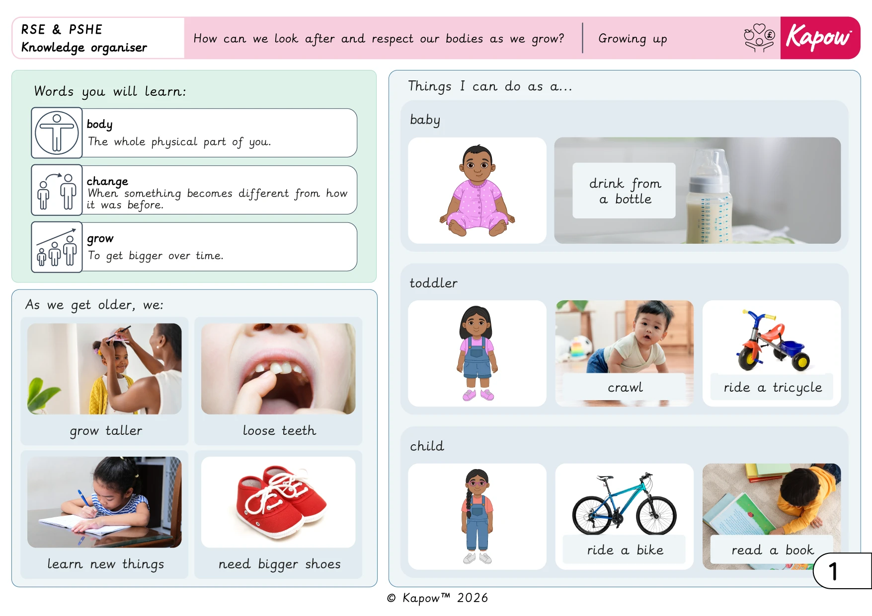 Knowledge organiser: RSE & PSHE – Y2 How can we look after and respect our bodies?