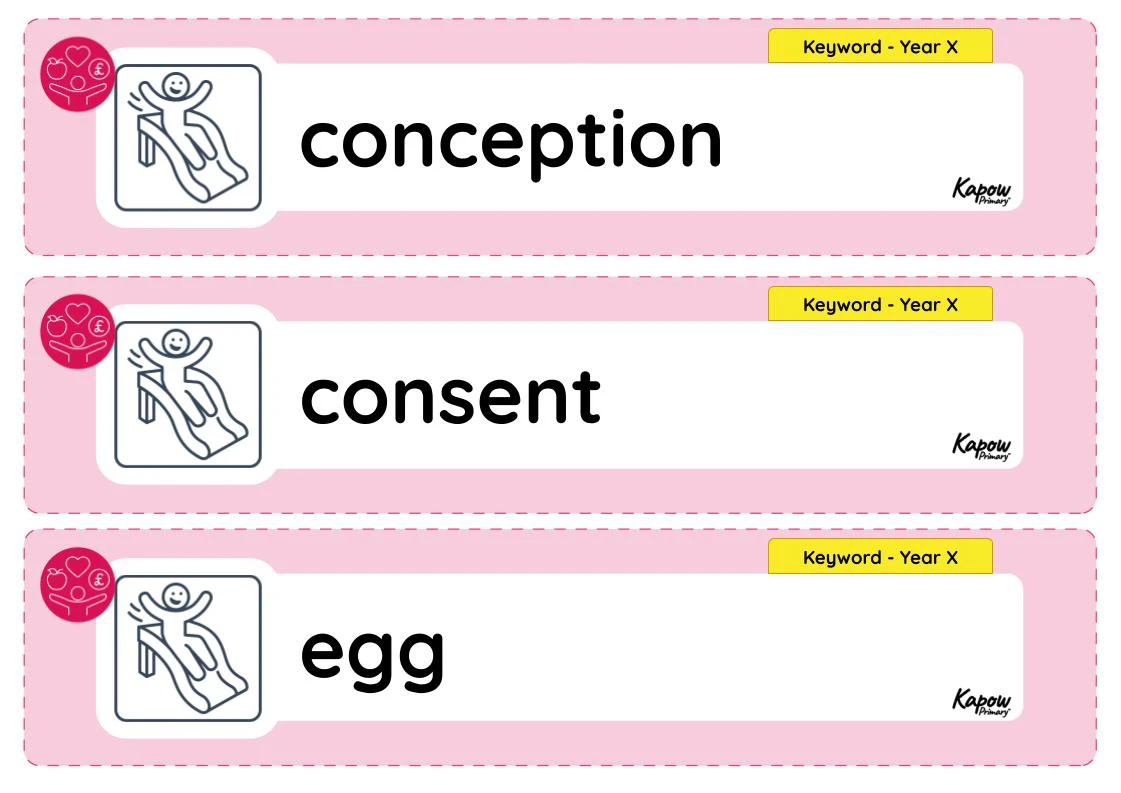 Vocabulary display – RSE & PSHE Y6: Sex education