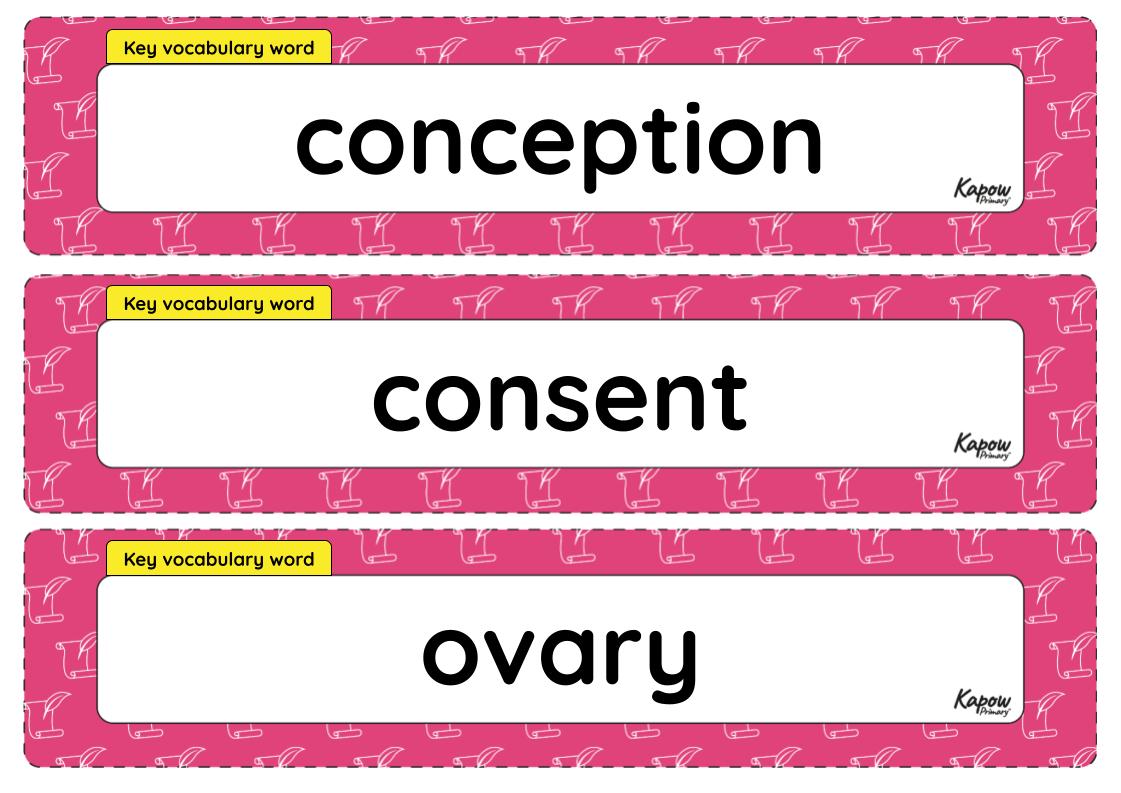 Vocabulary display – RSE & PSHE Y6: Sex education