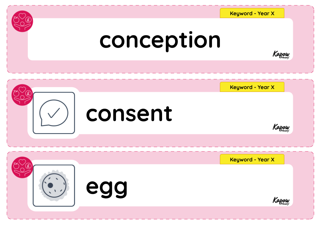 Vocabulary display – RSE & PSHE Y6: Sex education