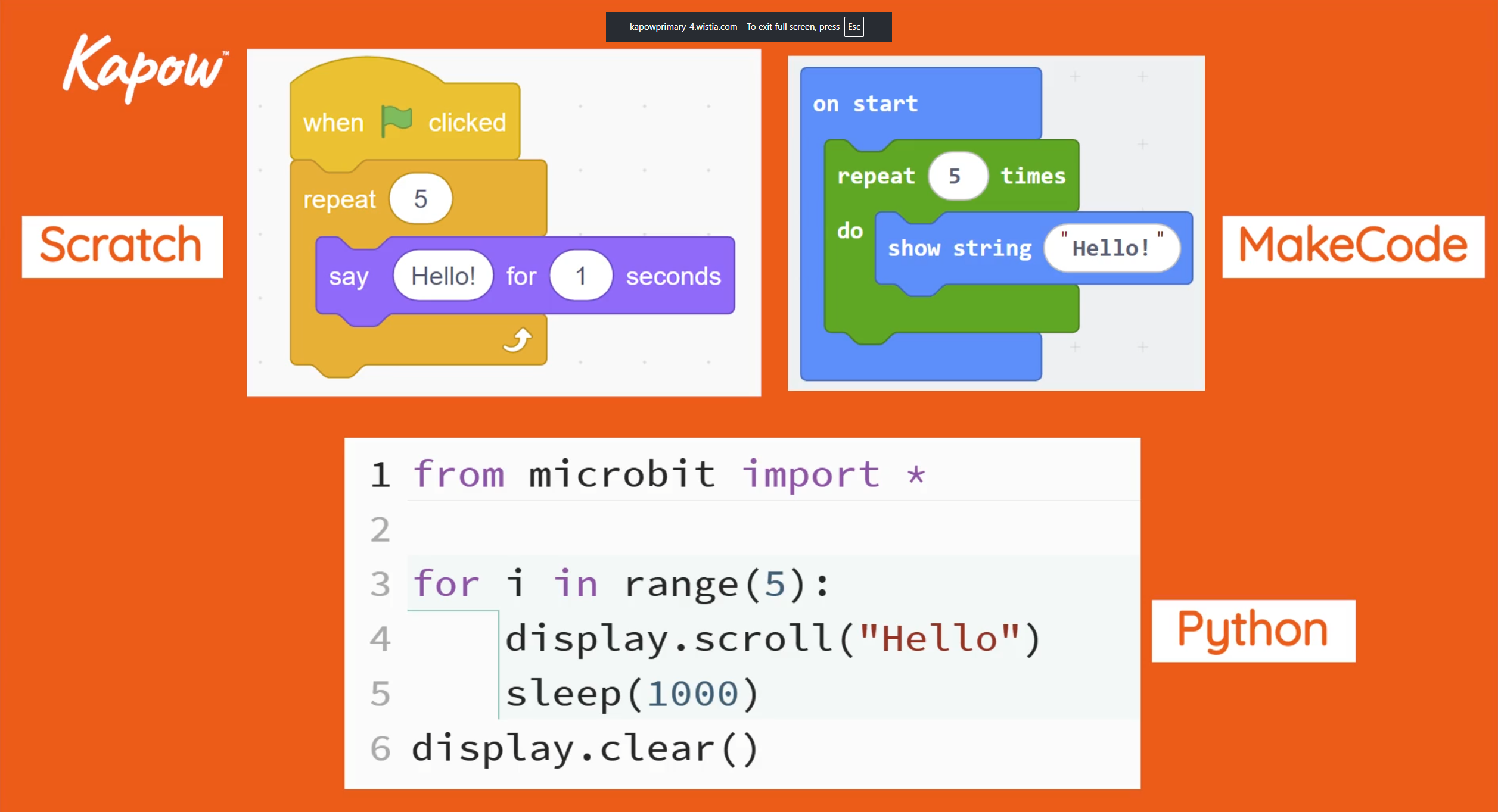 Pupil video: What is Python?