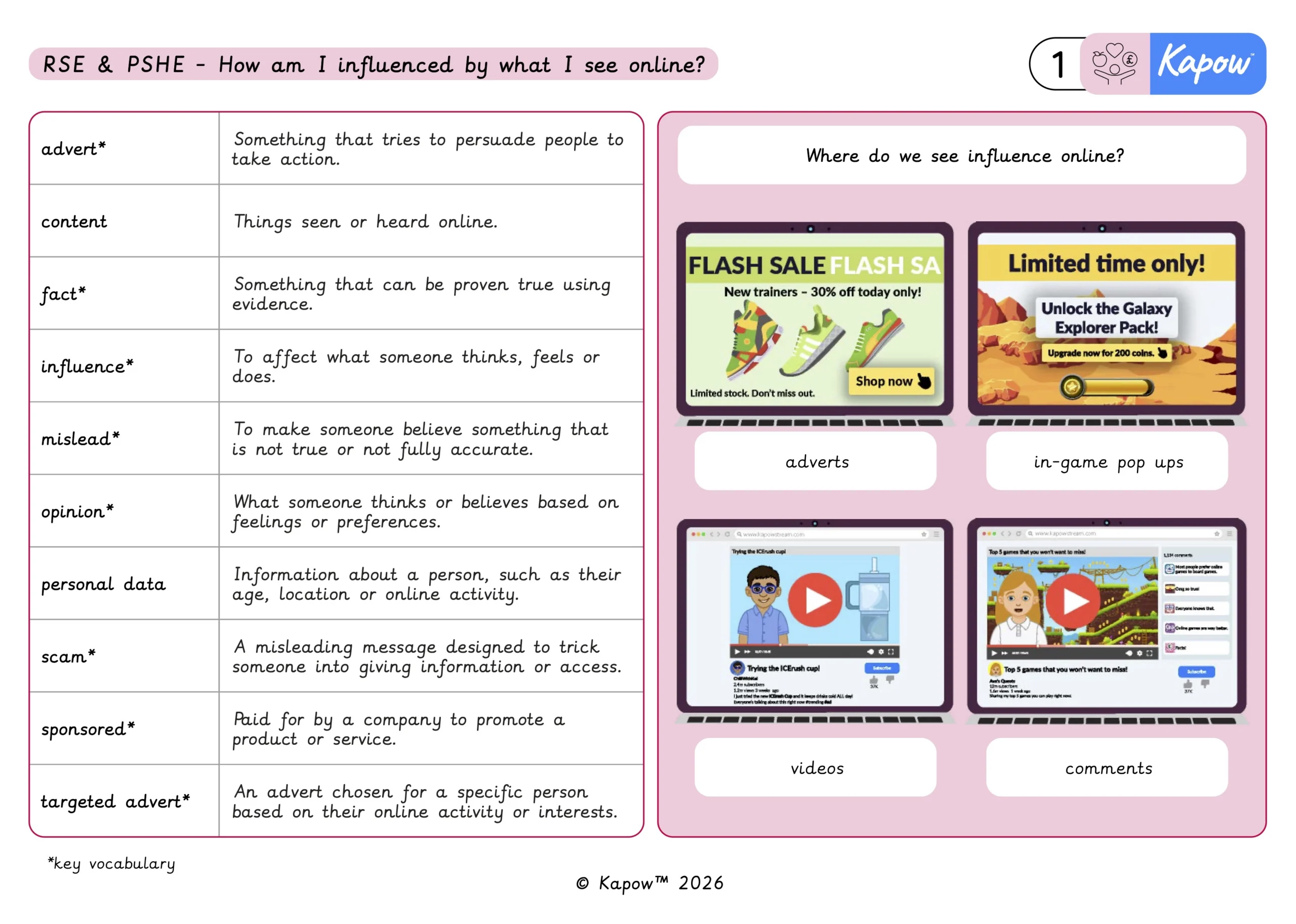 Knowledge organiser – RSE & PSHE Y5: How am I influenced by what I see online?