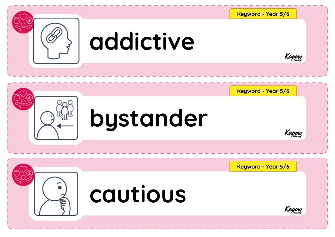 Vocabulary display – RSE & PSHE Y6: Staying safe: How can I stay safe as I grow up?