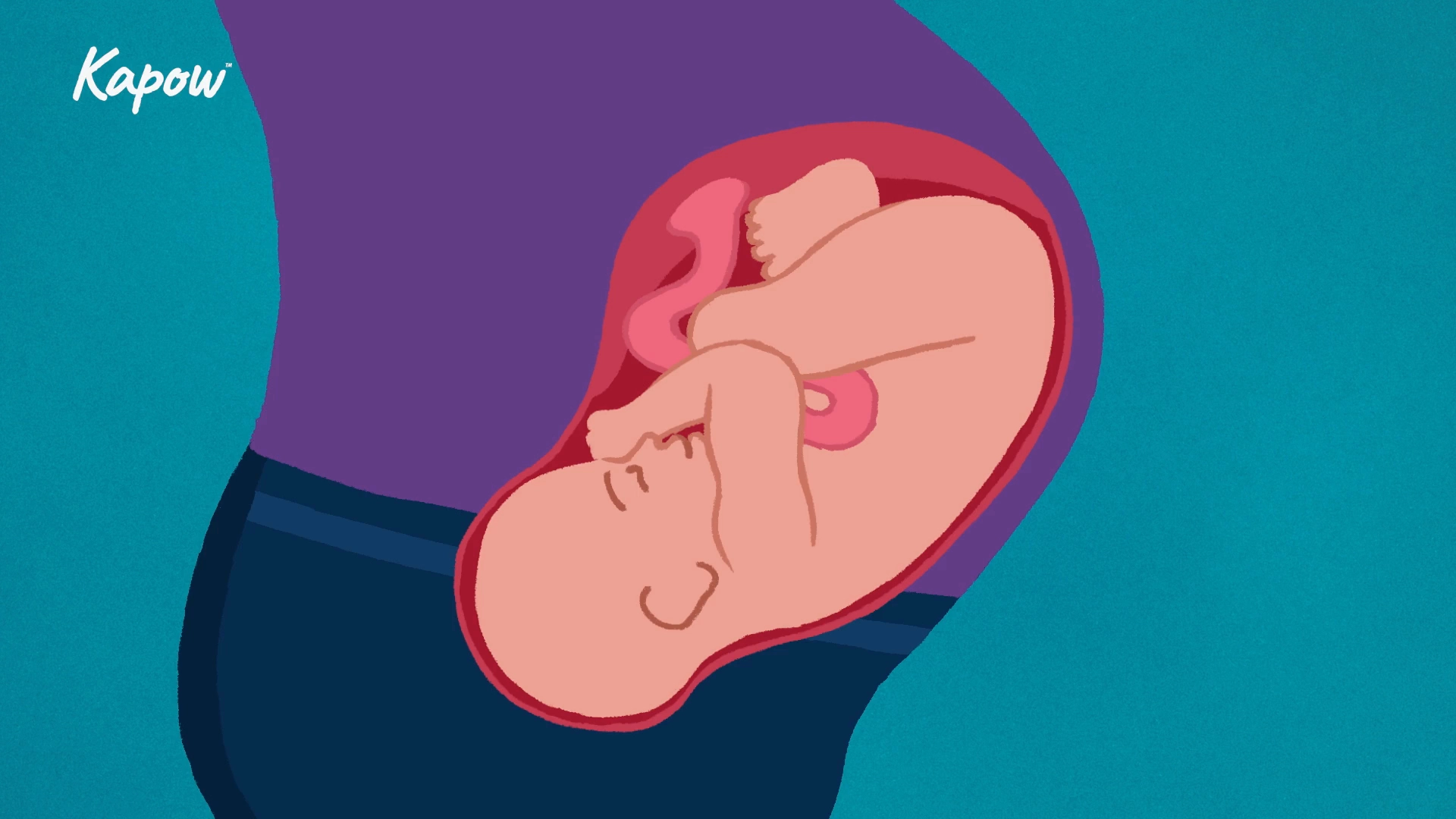 Pupil video: Having a baby
